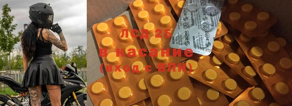 мяу мяу мука Баксан